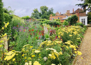Border Design – Essex Garden Designs